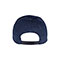 Back1 - 7612-Low Profile Heavy Brushed Cotton Twill Cap