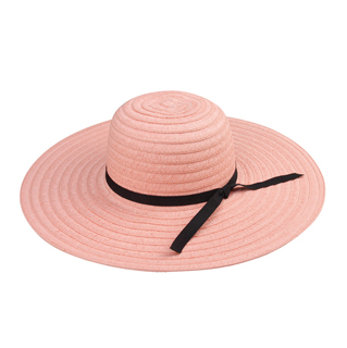 8219-Ladies' Fashion Toyo Hat