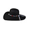 Main - 8220-Ladies' Fashon Toyo Hat