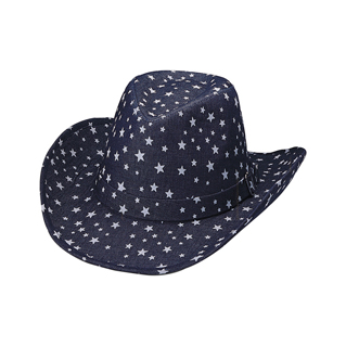 8908-Star Print Denim Hat